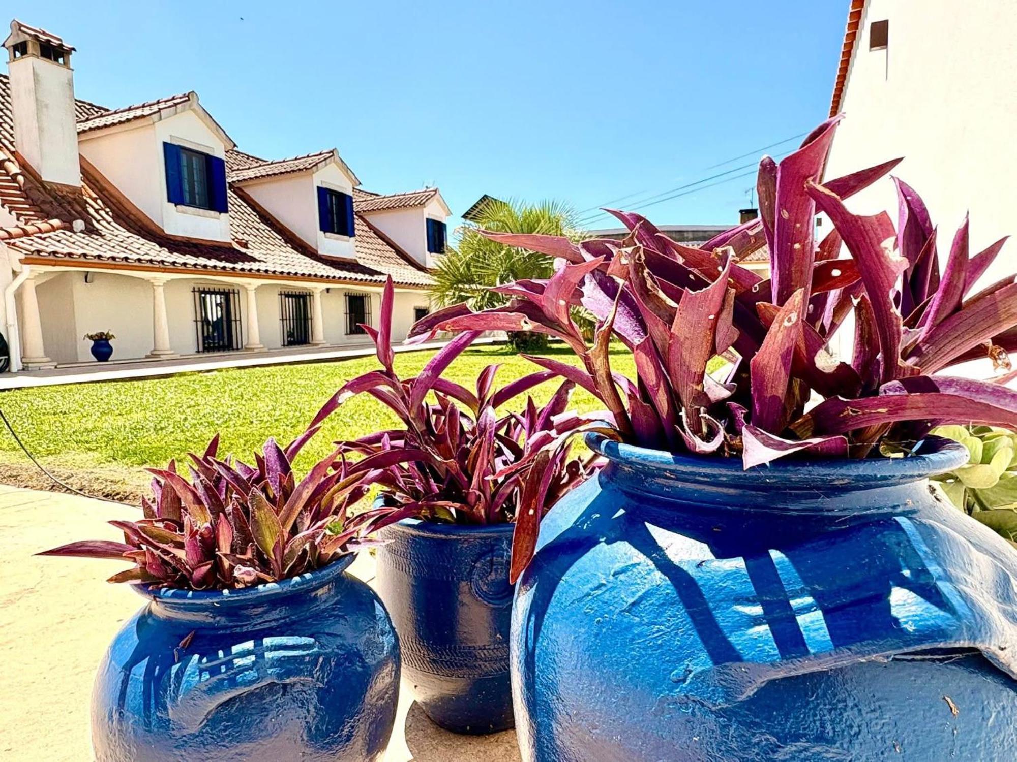 Bed and Breakfast Casal Dos Frades Fontainhas  Exterior foto